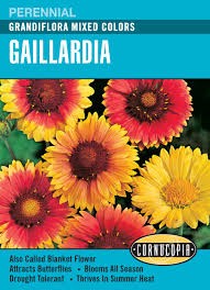 Grandiflora Mixed Colors Gaillardia Seed Pack