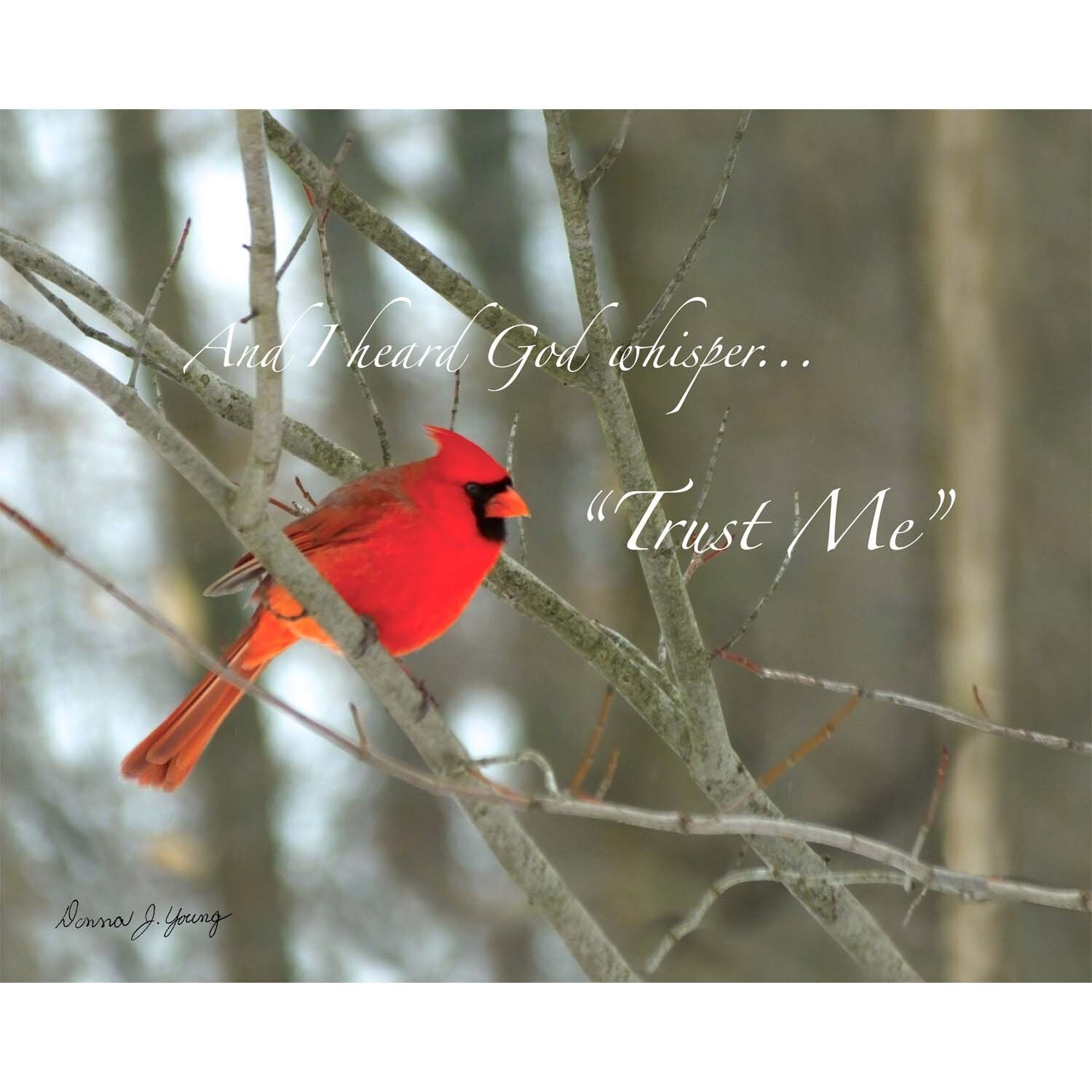 I Heard God Whisper