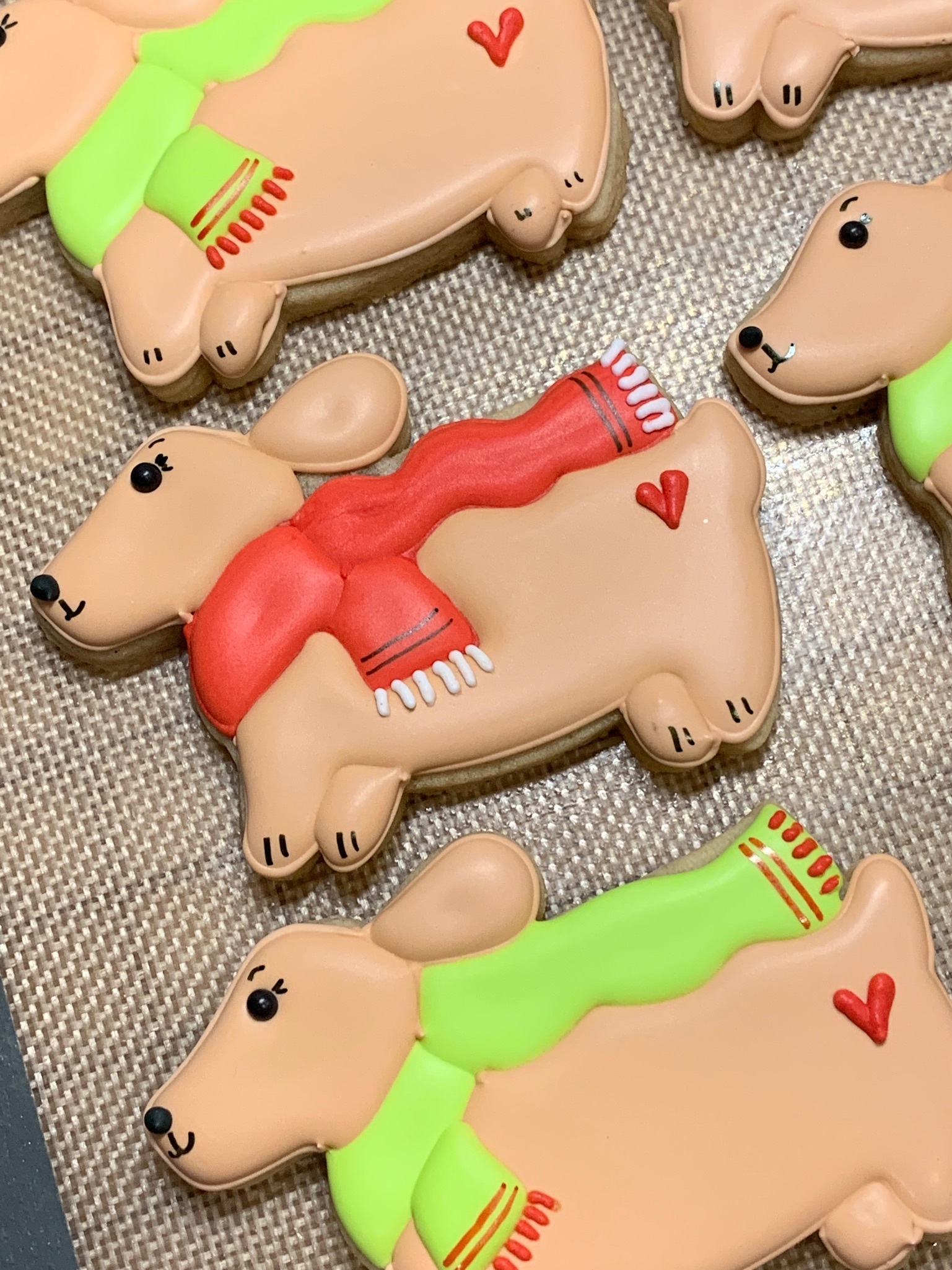 SINGLE: Sugar Cookie