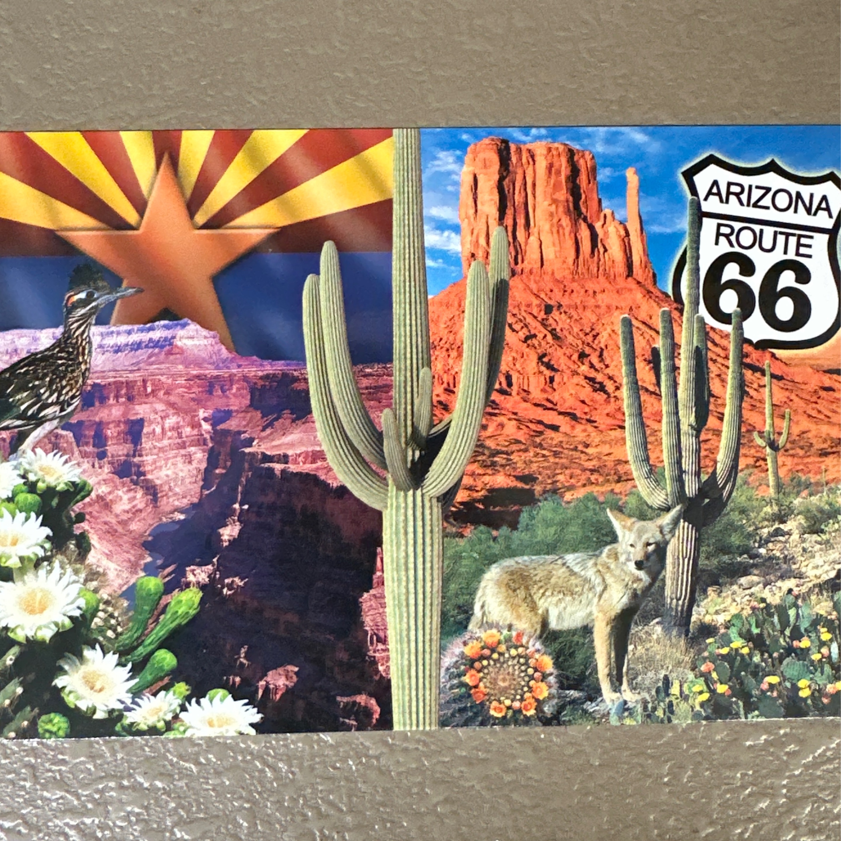 P/C - AZ Montage Rt 66