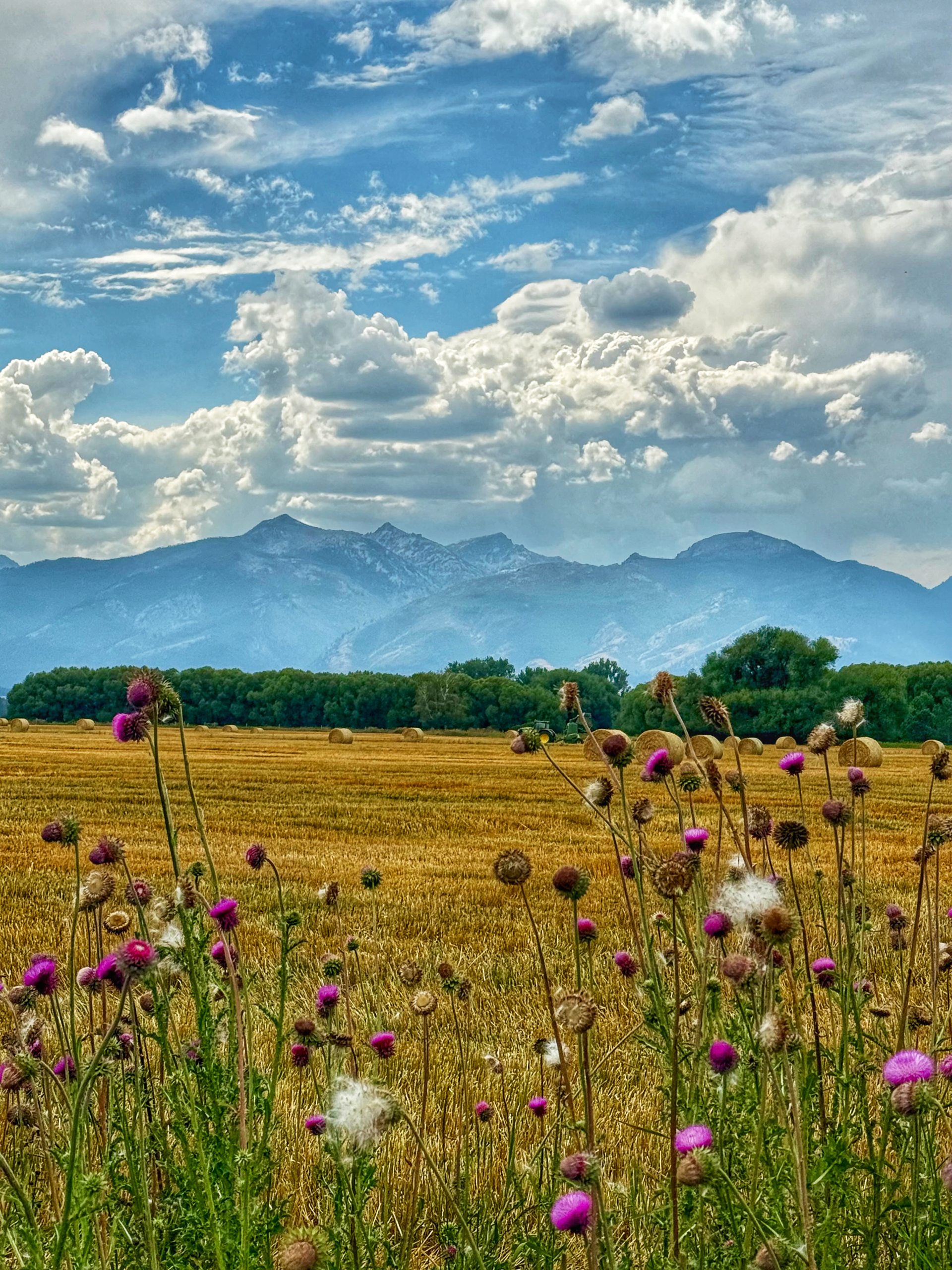 Eastside Highway, Stevensville, MT #1