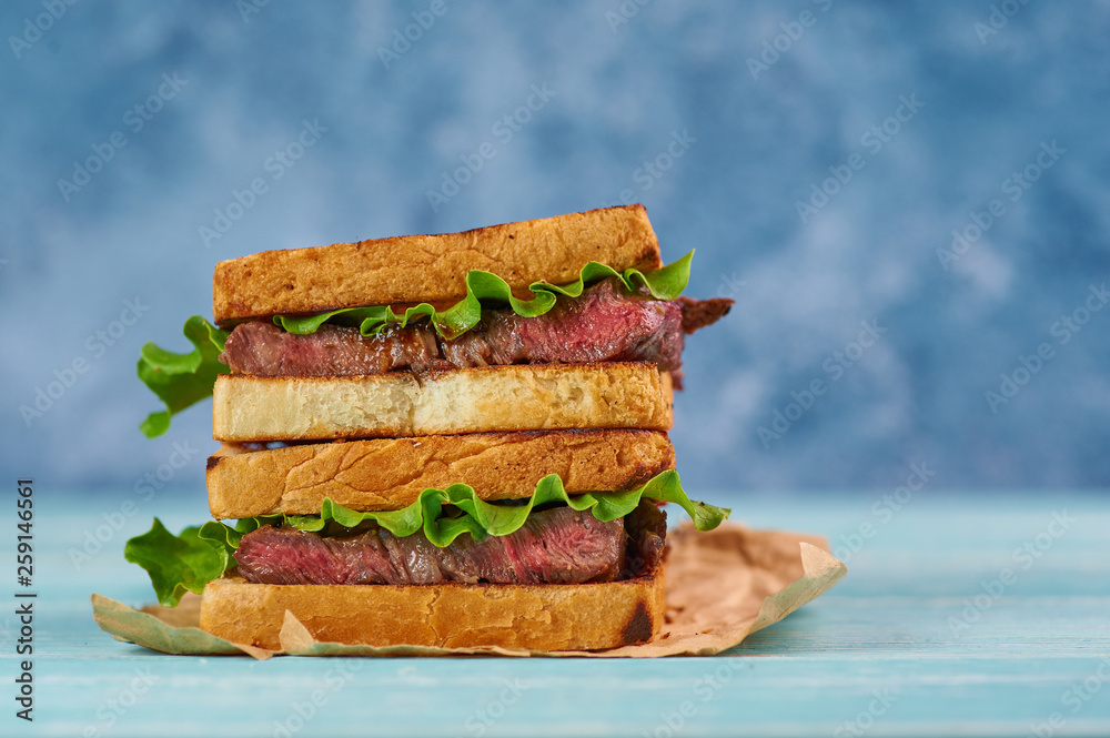 STEAK SANDWICH