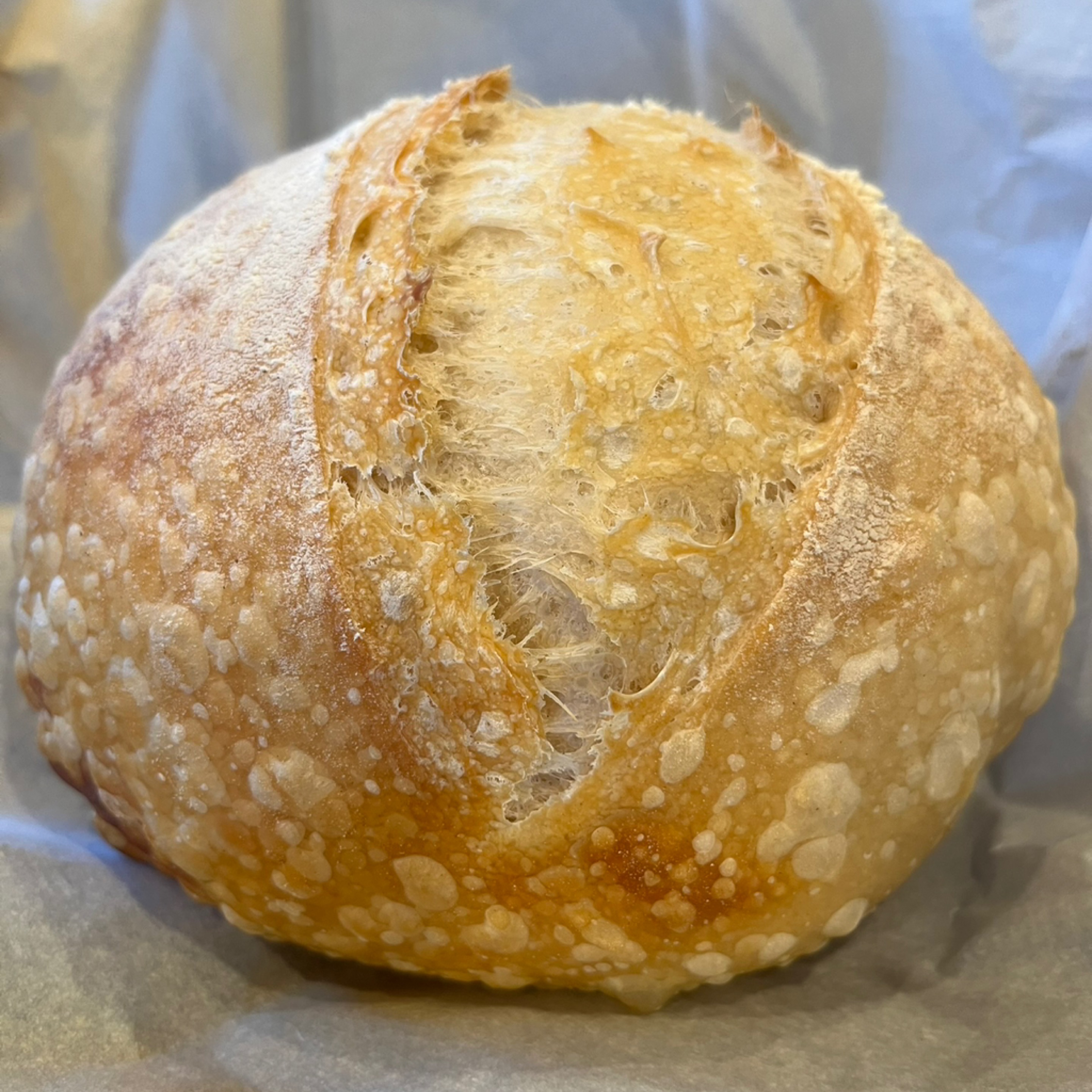 Photo of Bread Bowls