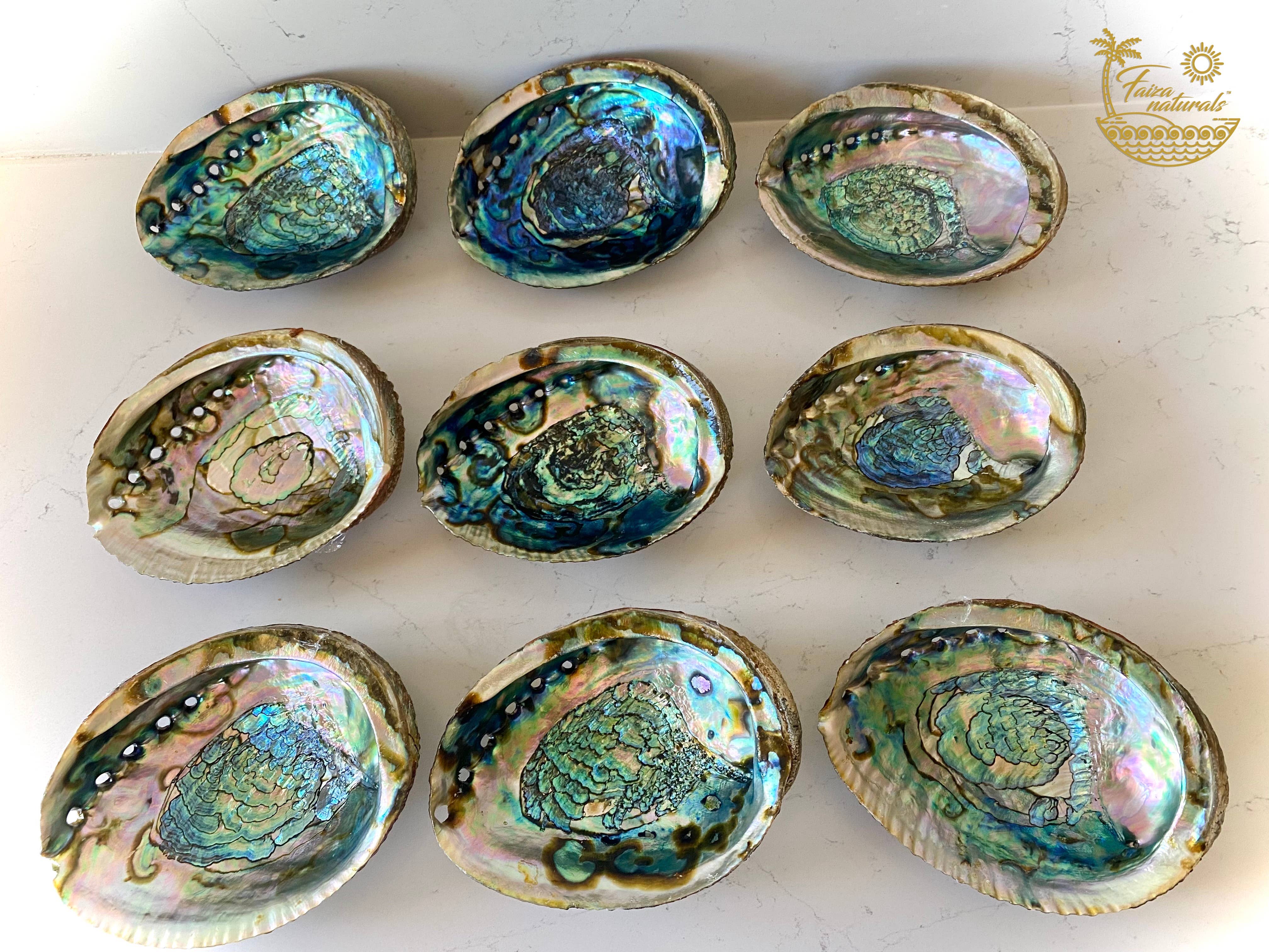 Faiza Naturals - Abalone Shell Smudge Bowls
