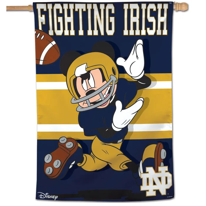 Notre Dame Fighting Irish Disney Theme Vertical House Flag 28x40"