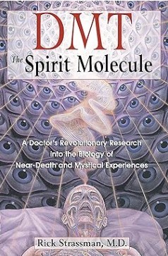 DMT: The Spirit Molecule | Rick Strassman