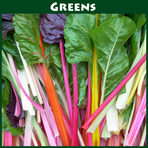 Swiss Chard Bright Lights