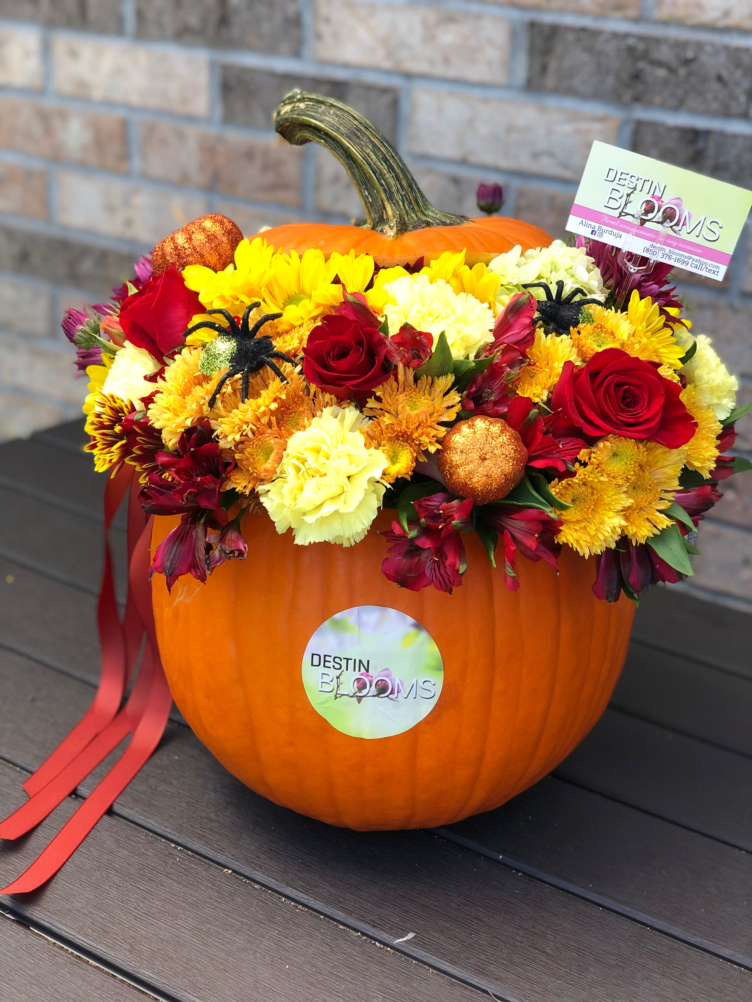 Blooming Pumpkin - in Destin, FL thumbnail 2