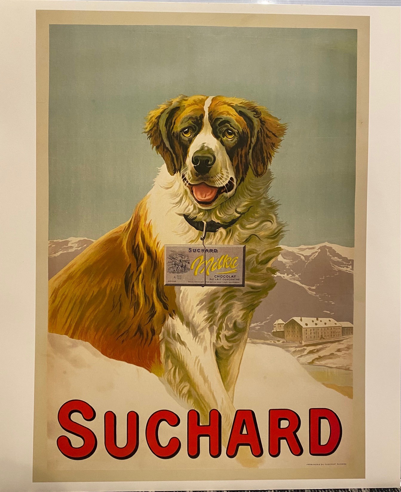 Suchard St. Bernard Poster