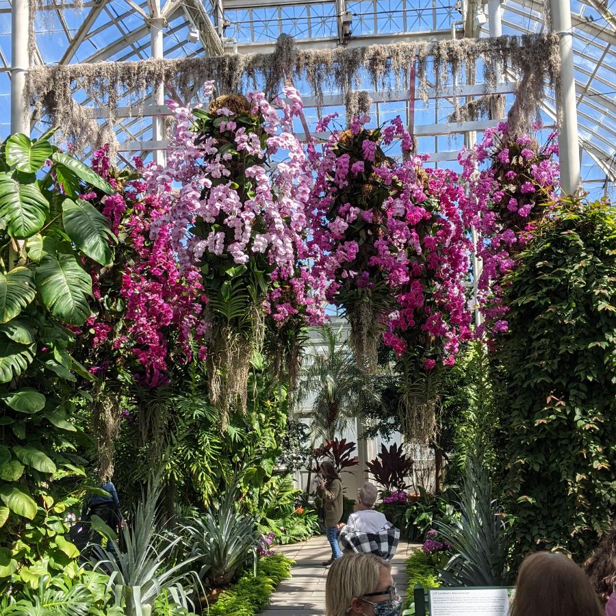 Single Annual Membership