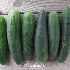 Marketmore 76 Cucumber Seed Pack, Organic