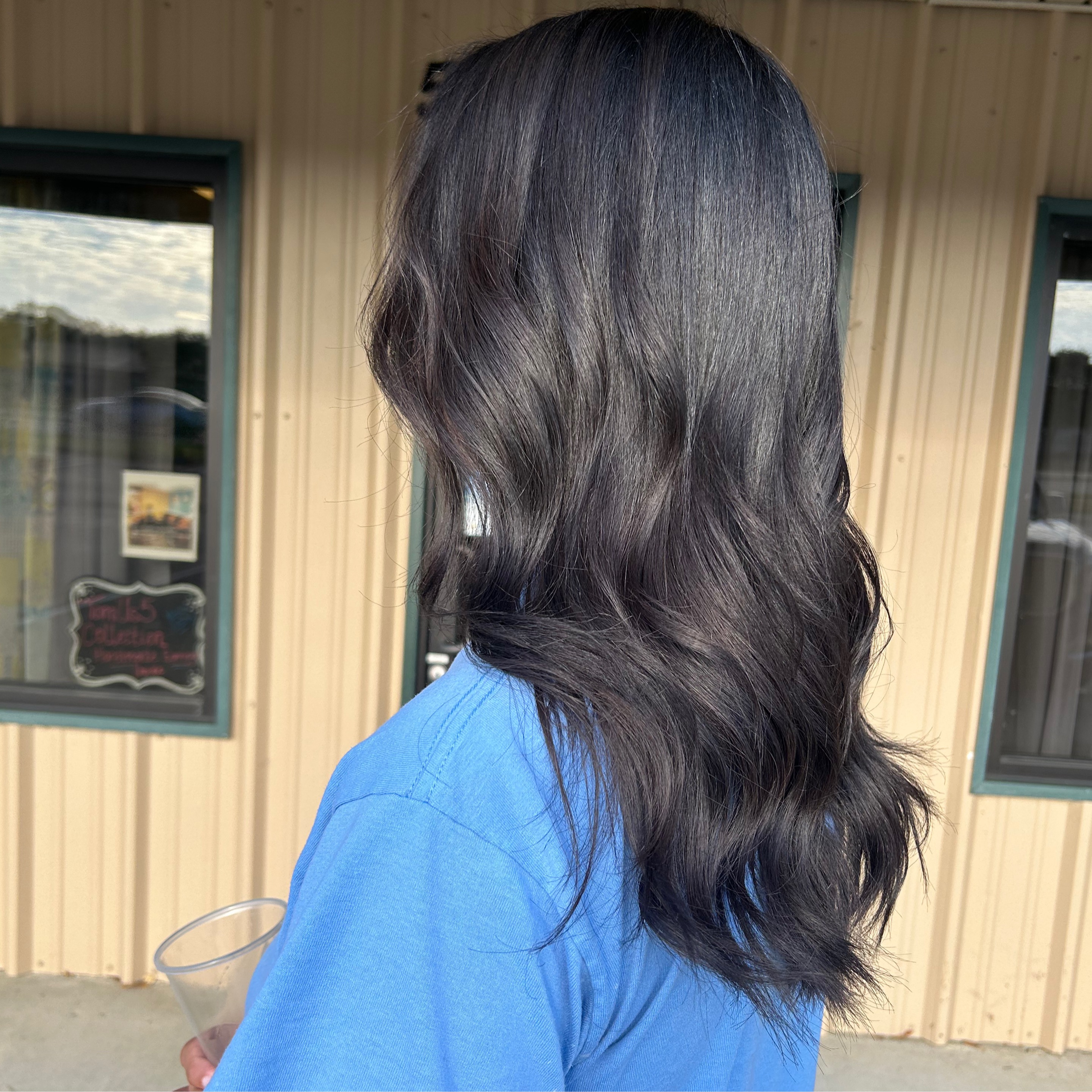 Hair Color & Shears inc Salon