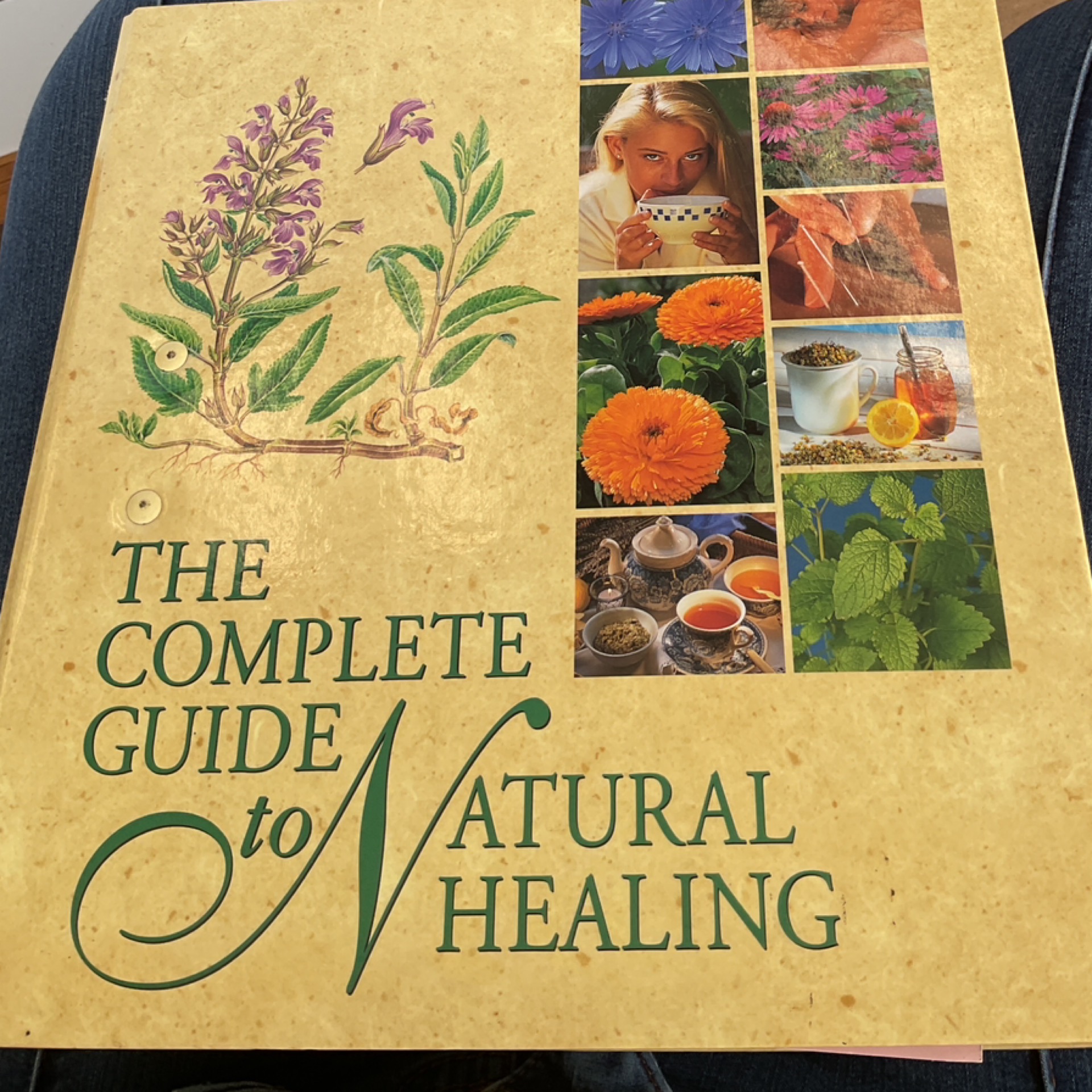 The Complete Guide to Natural Healing