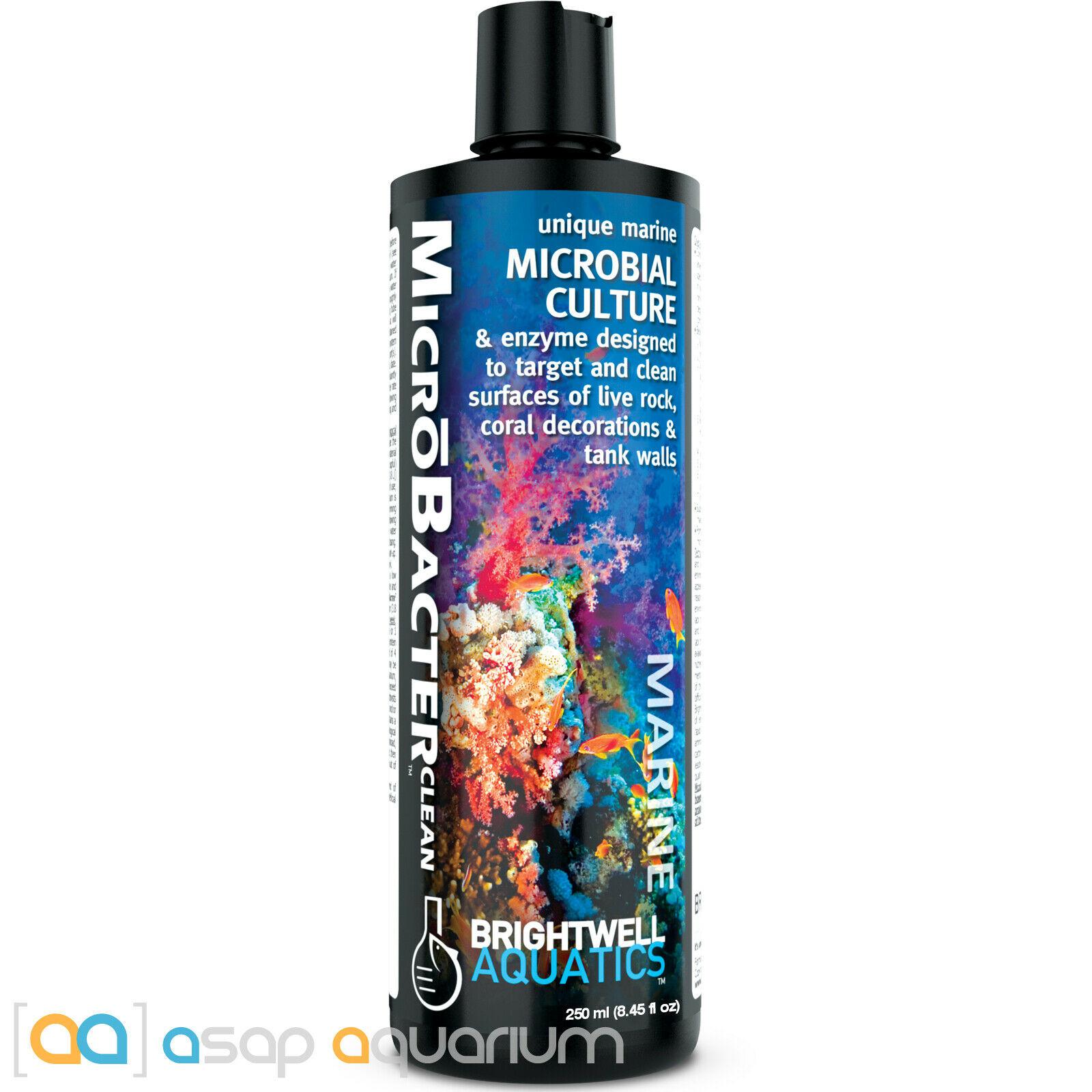 Brightwell Aquatics Microbacter Clean