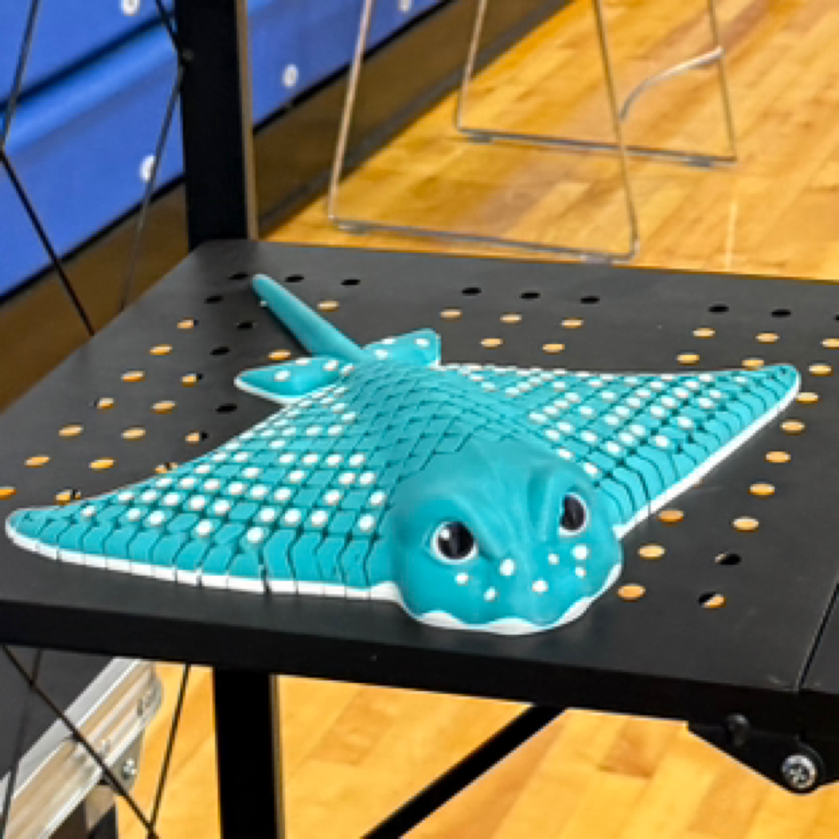 Eagle ray