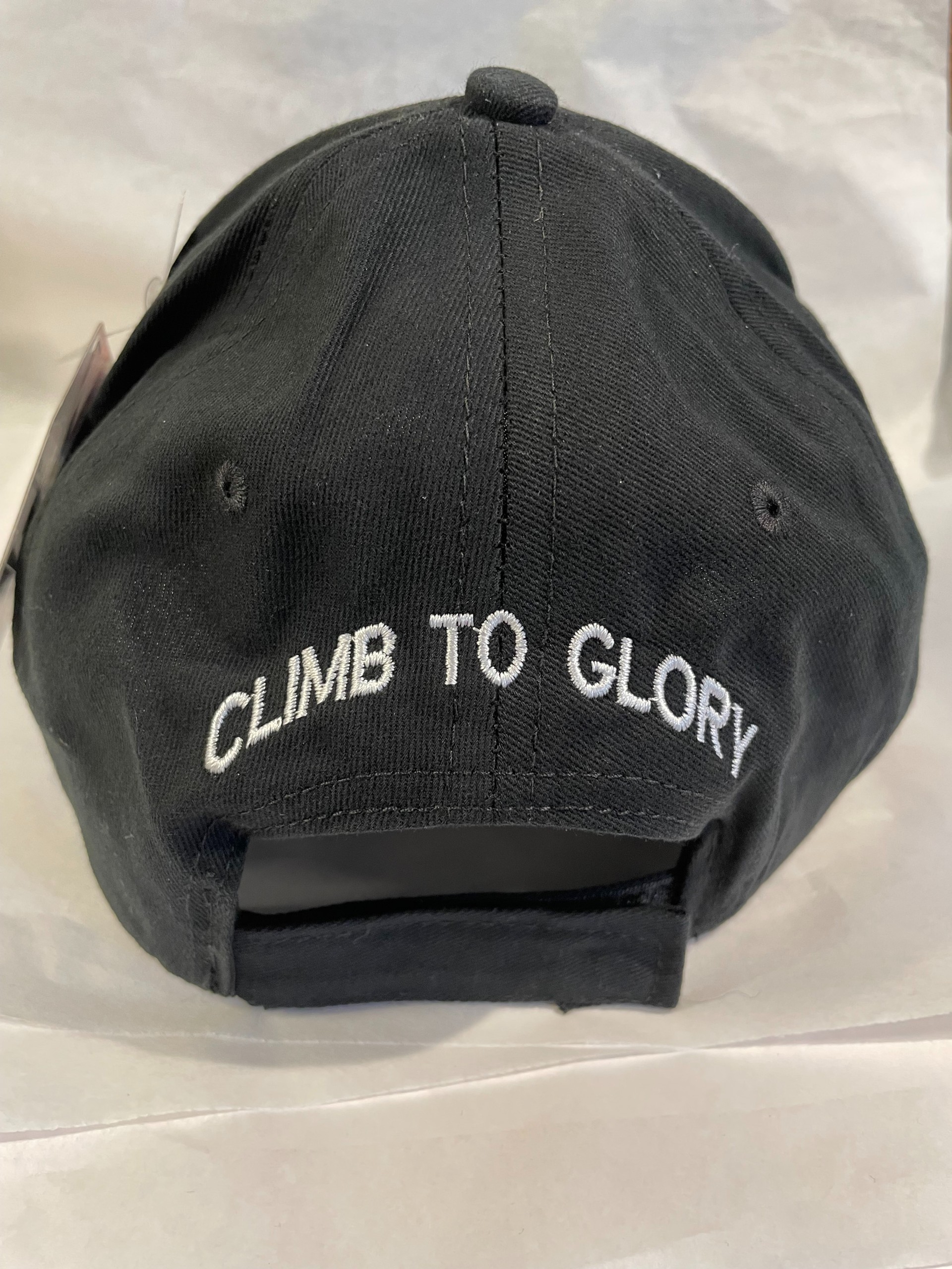 10th Mountain Division Logo Hat Black