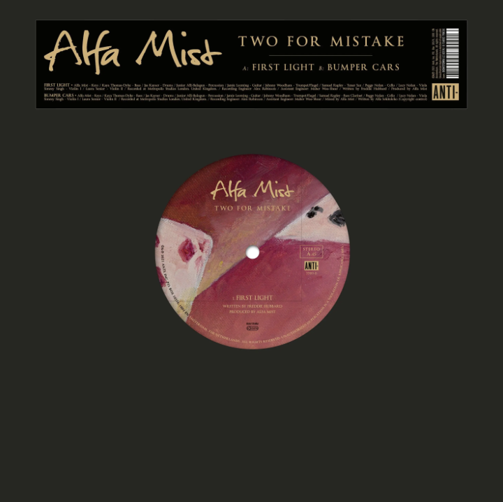 Alfa Mist - Two For Mistake by Unknown Artist - View 1