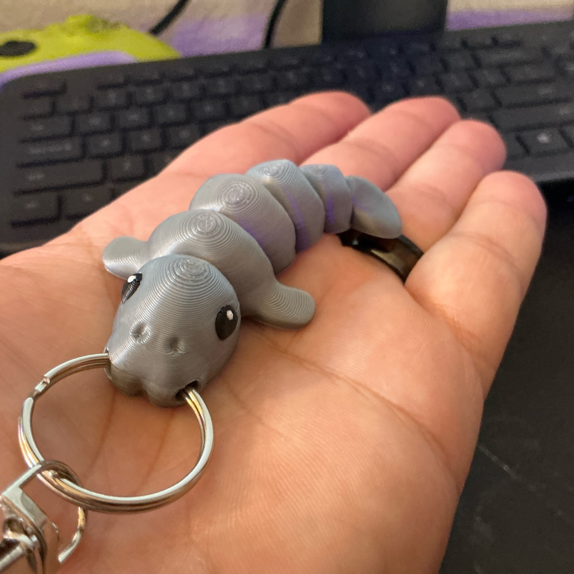 KC Manatees