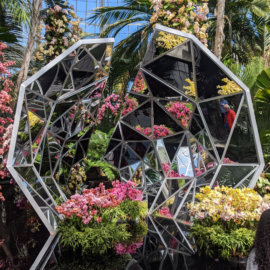 Family Annual Membership