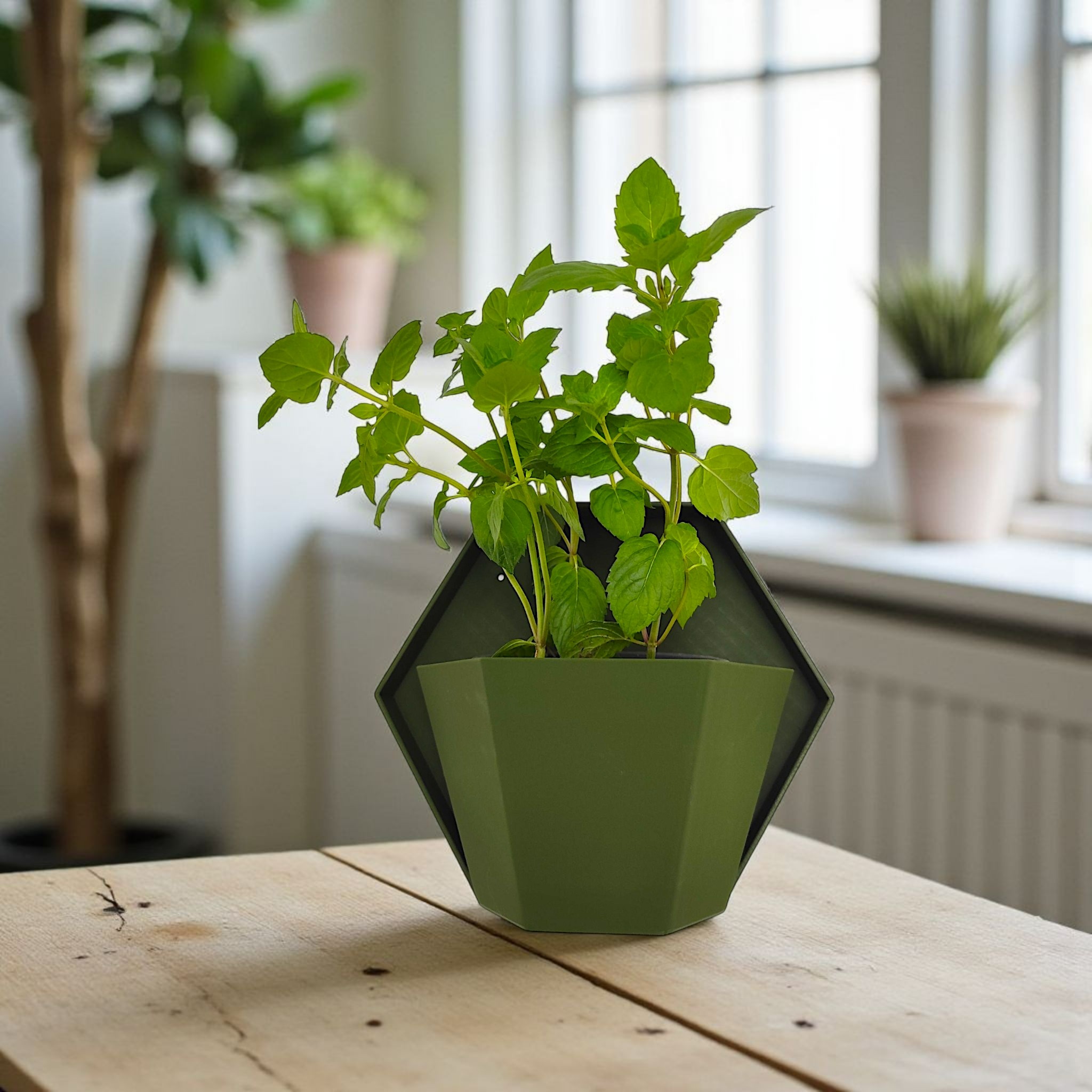 Wall Planter