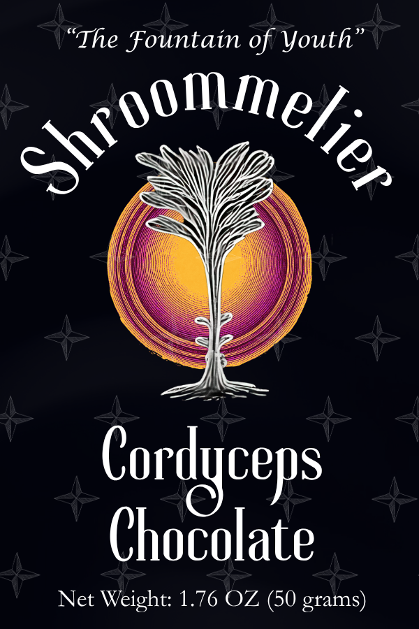 Cordyceps Chocolate Bar