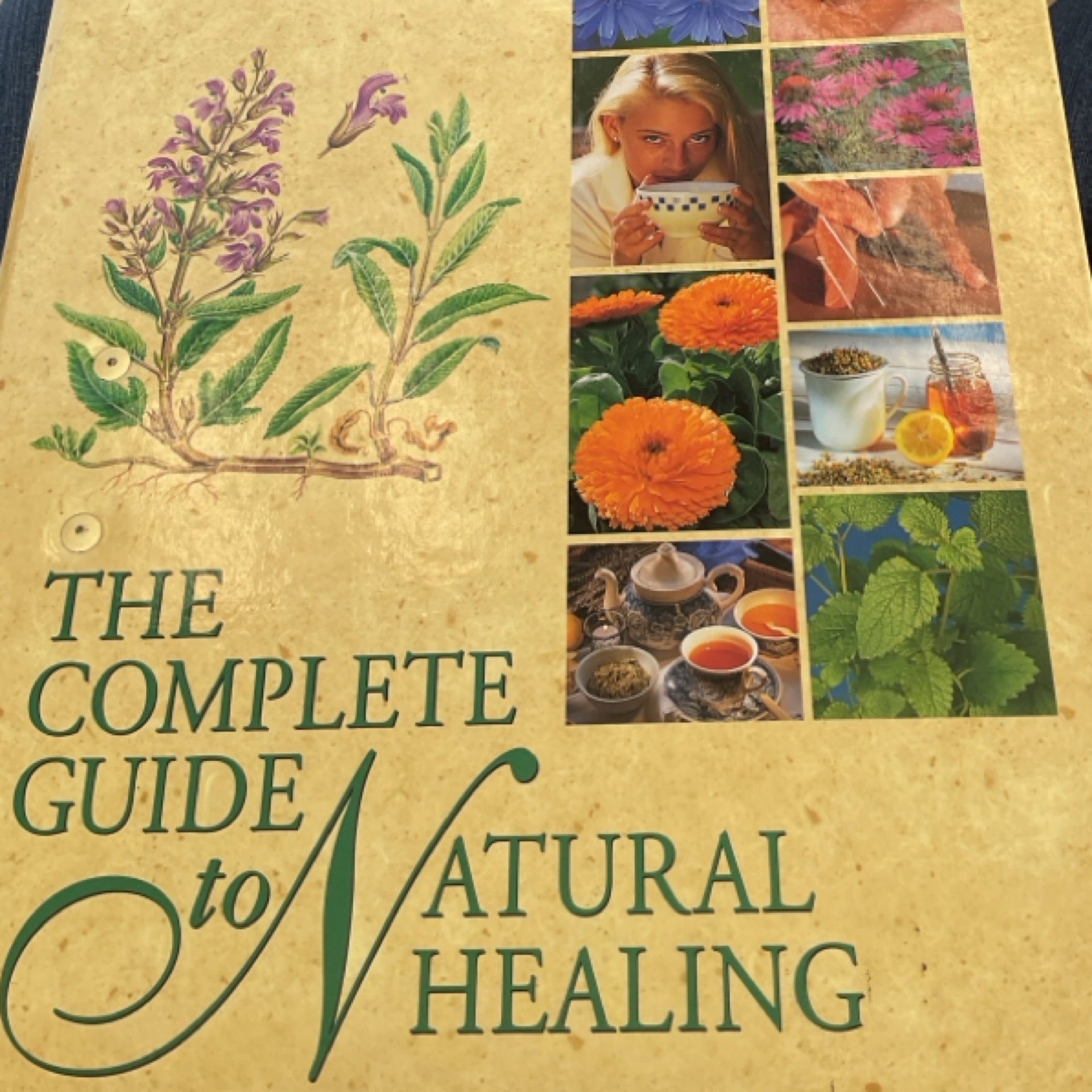 The Complete Guide to Natural Healing