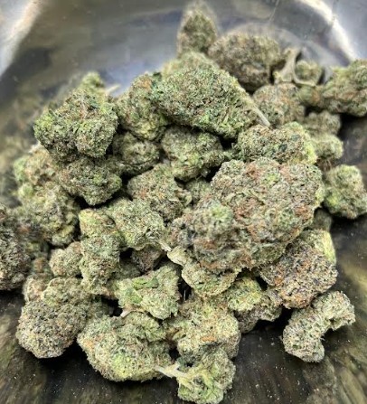 Bubblegum Gelato - Regular