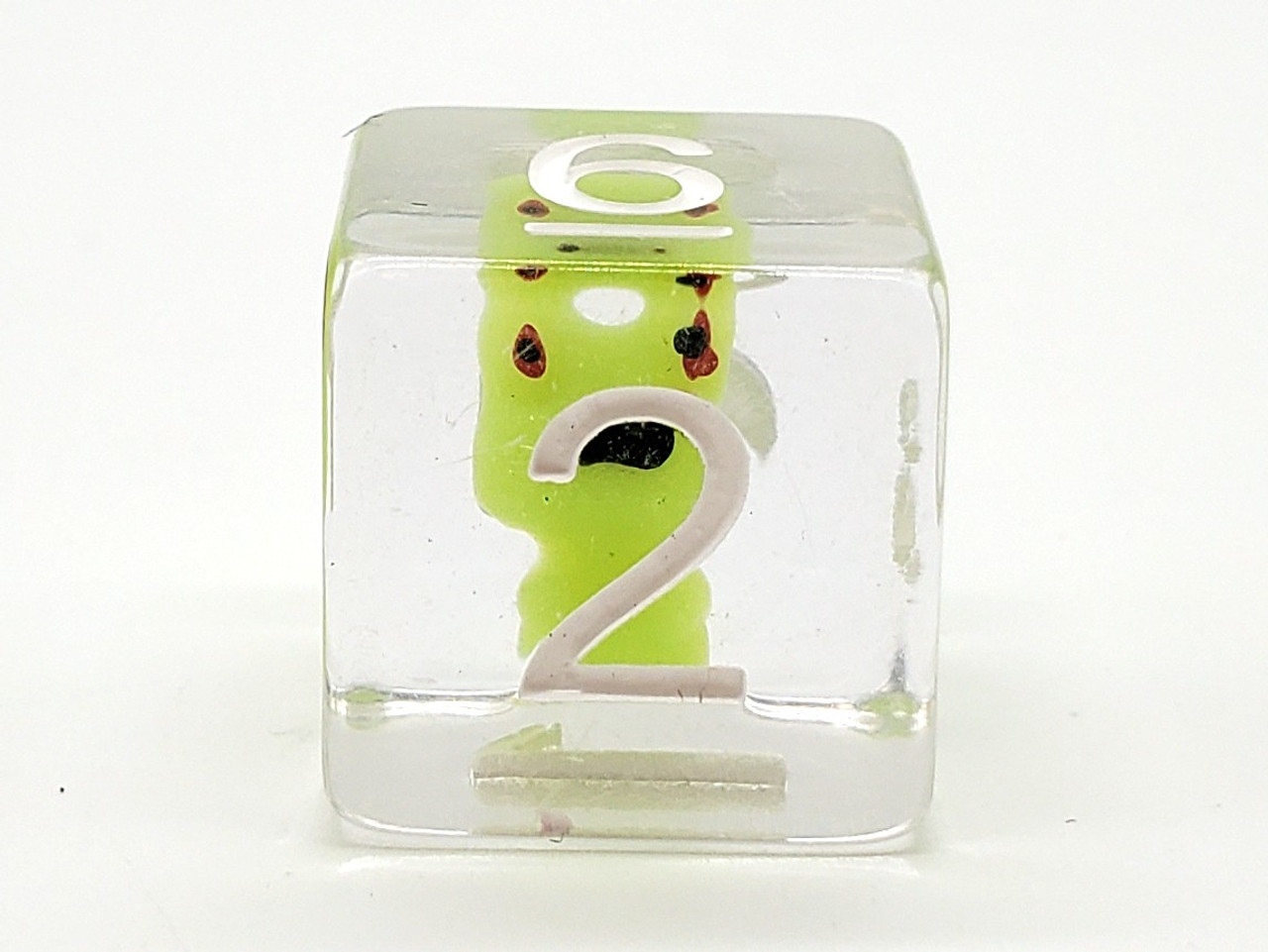 Animal Kingdom - Froggy Time thumbnail 2