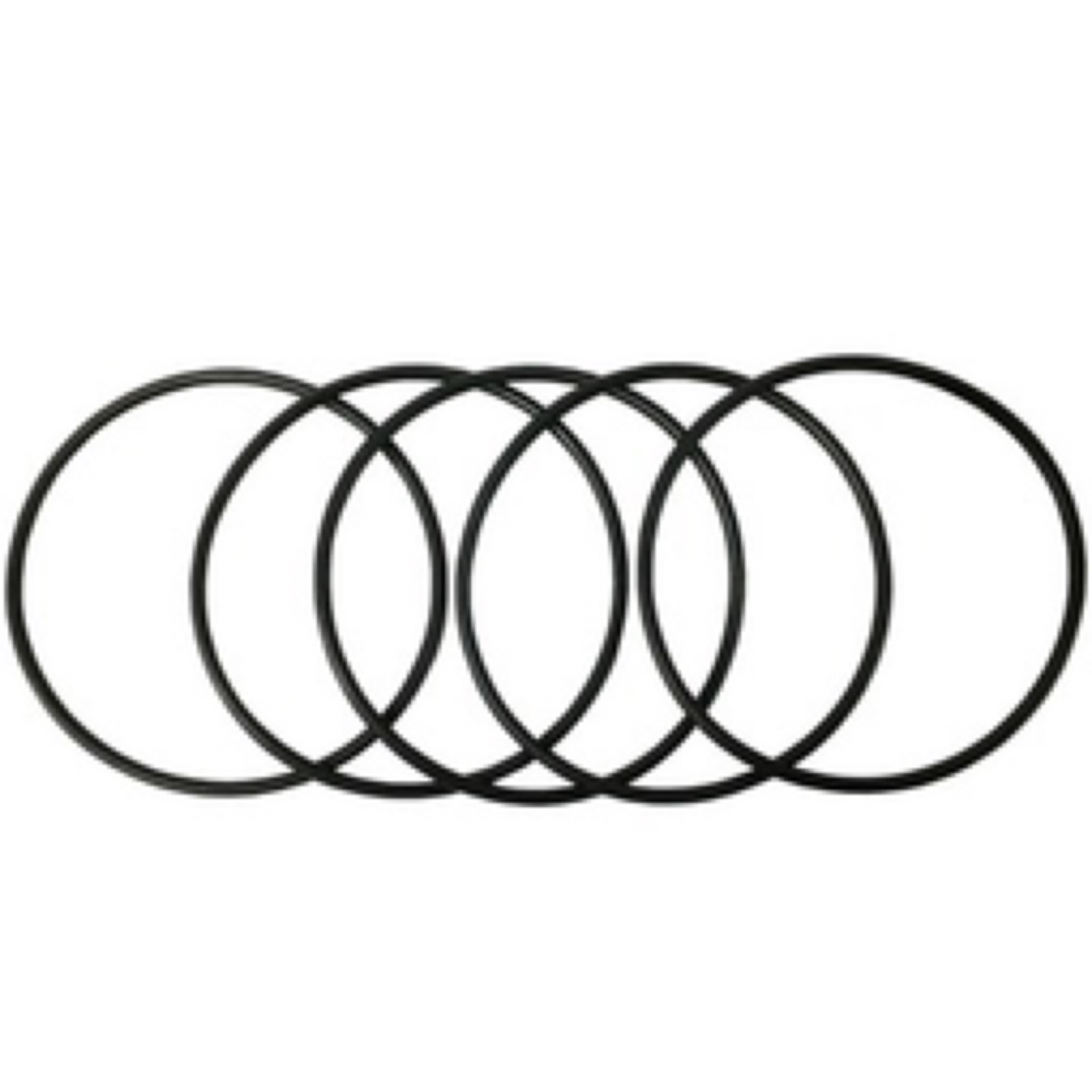 Torini Carburretir Bowl O’Rings