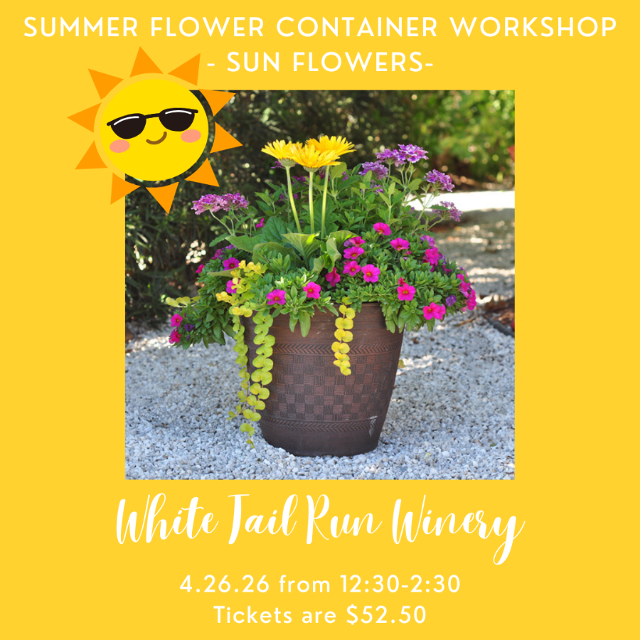 SUN Flower Container 4.26.26
