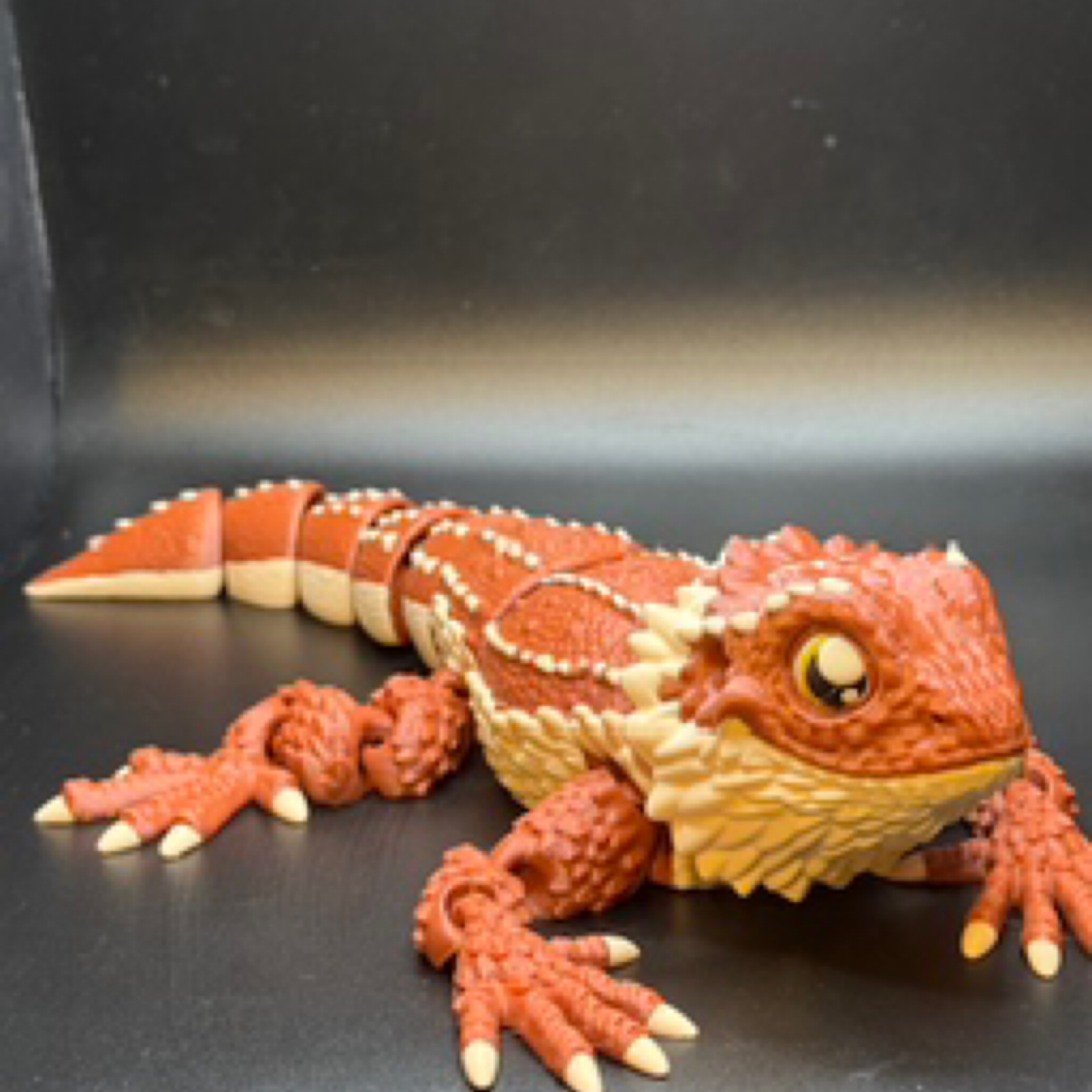 Bearded Dragon