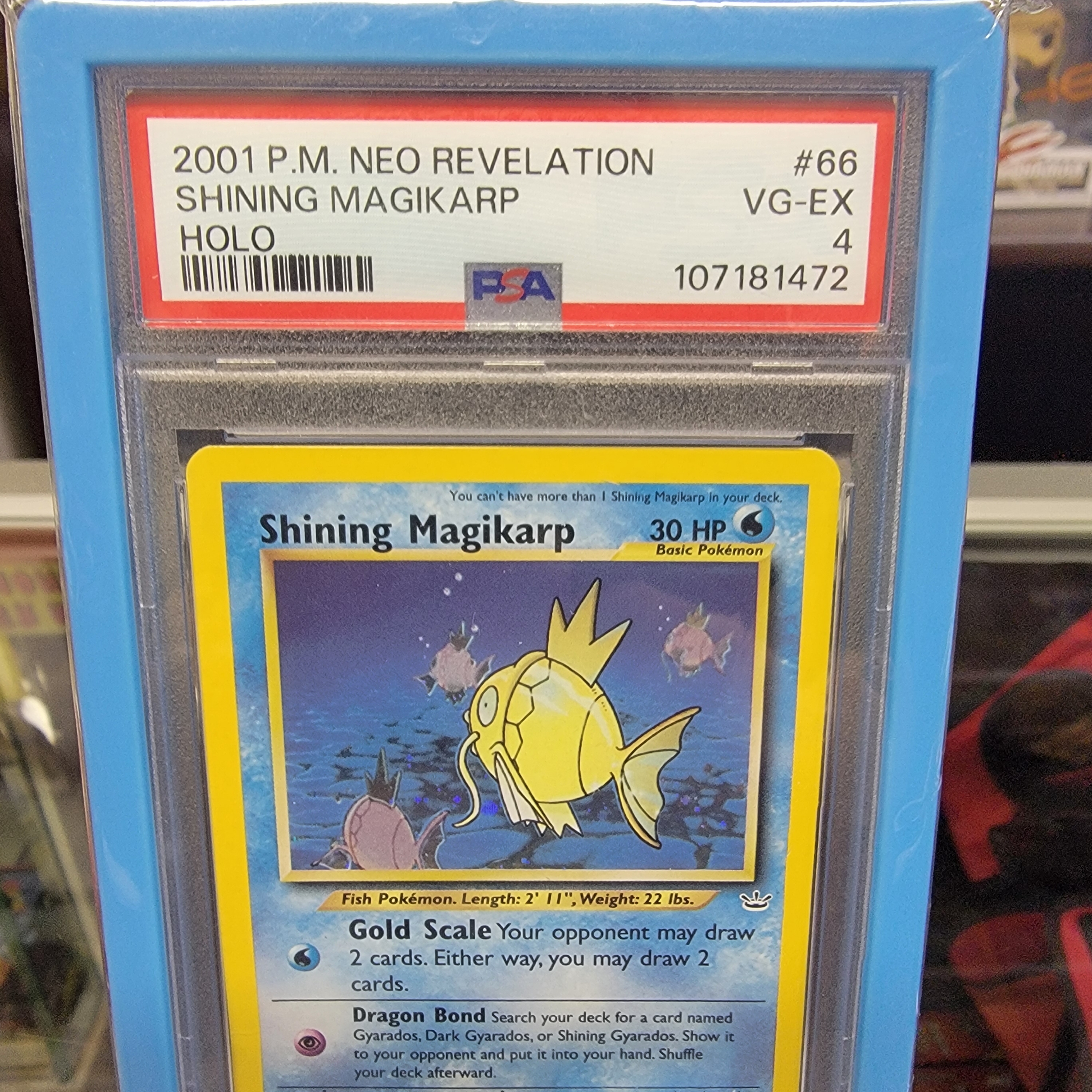 PSA 4 Shining Magikarp Holo Unlimited Graded Card