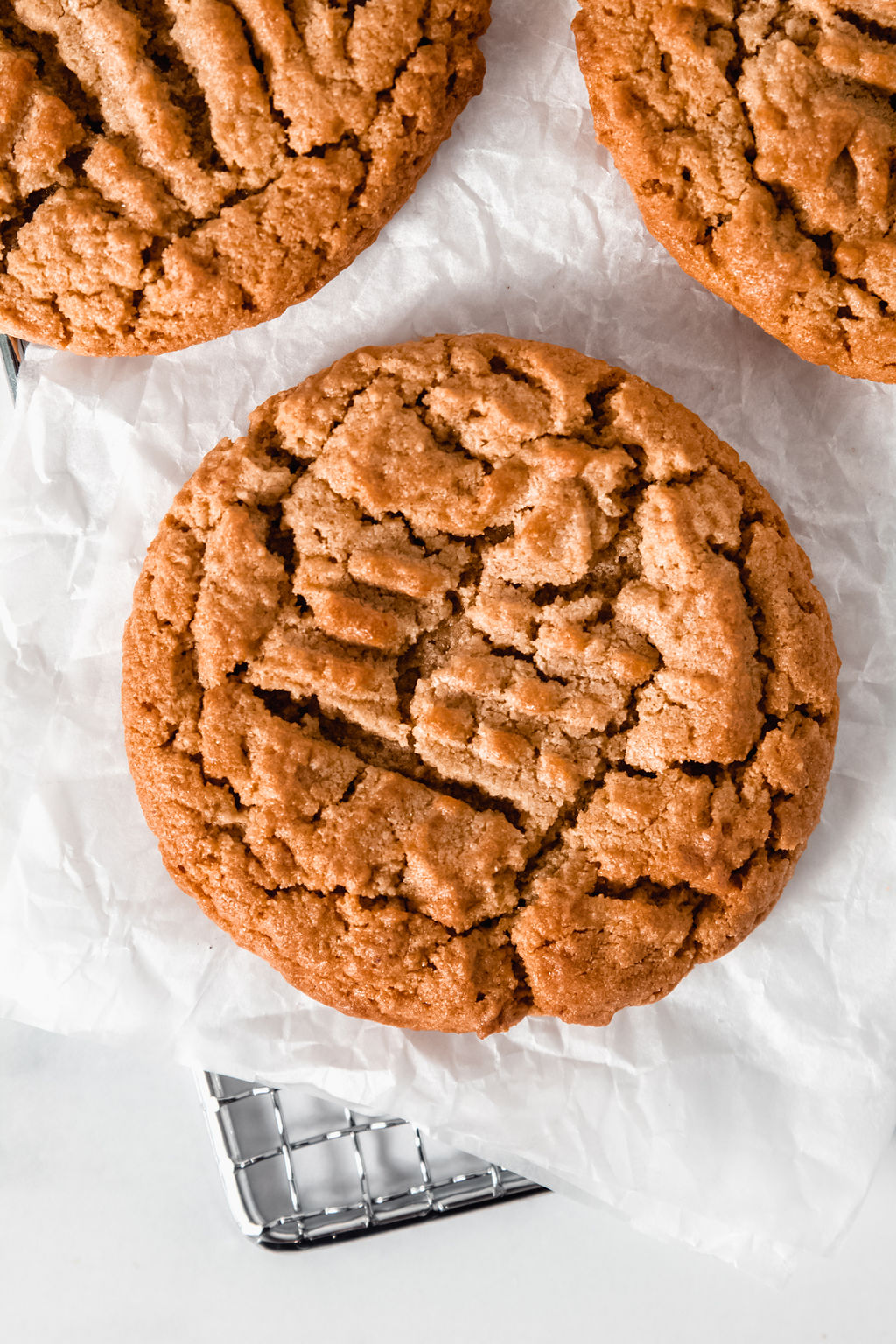 Peanut Butter Cookie