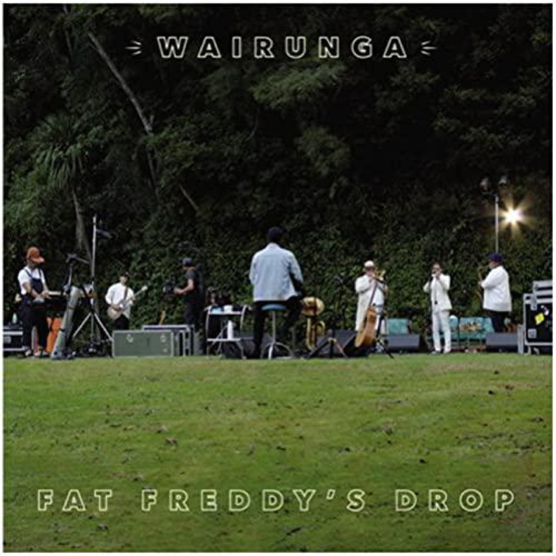 Fat Freddy’s Drop - Wairunga by Unknown Artist - View 1