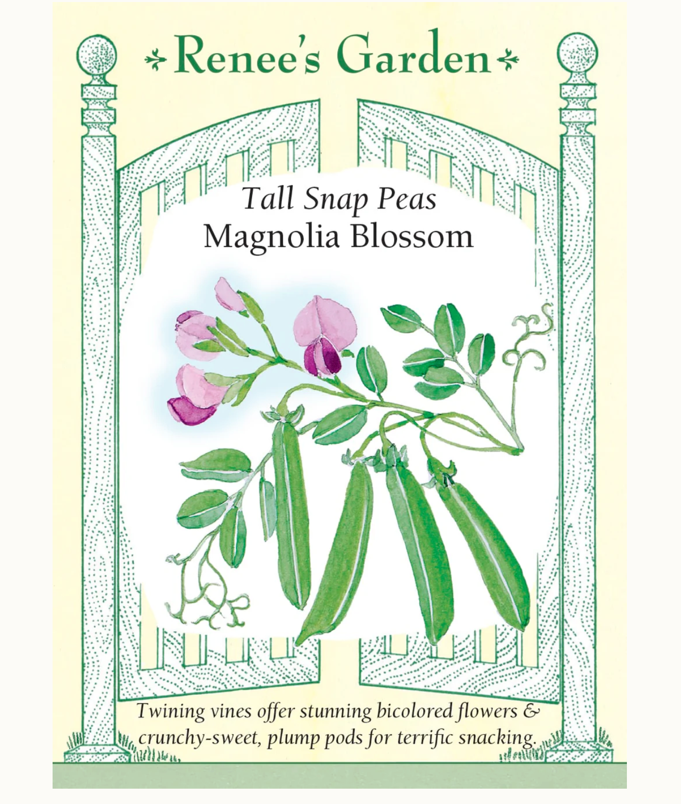 Renee's Garden | Tall Snap Peas Magnolia Blossom