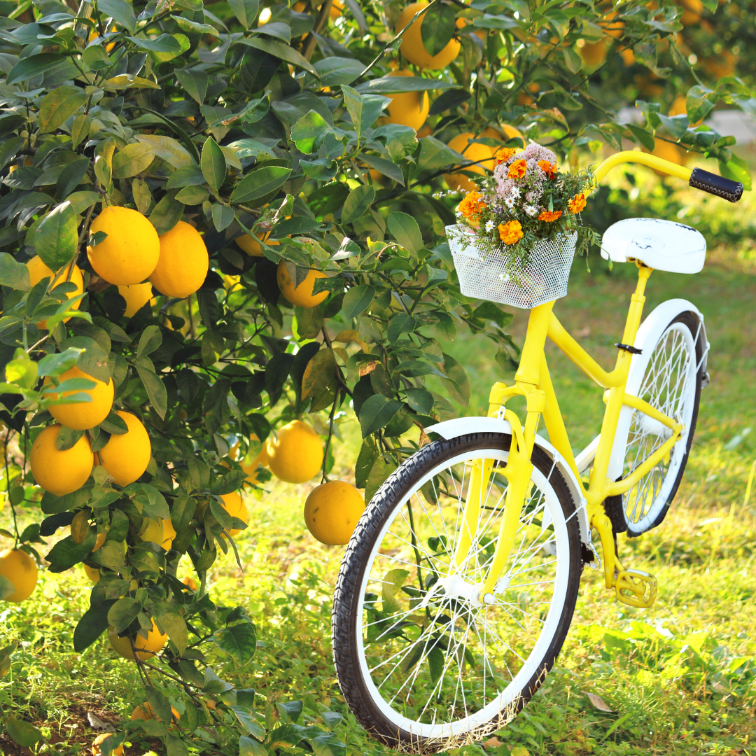 A visualization of the menu item "Lemon Chain"