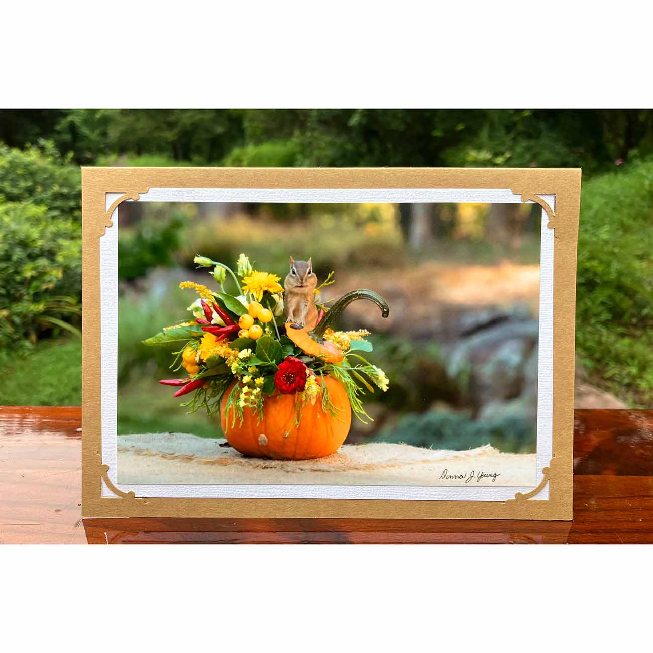 Pumpkin Delights