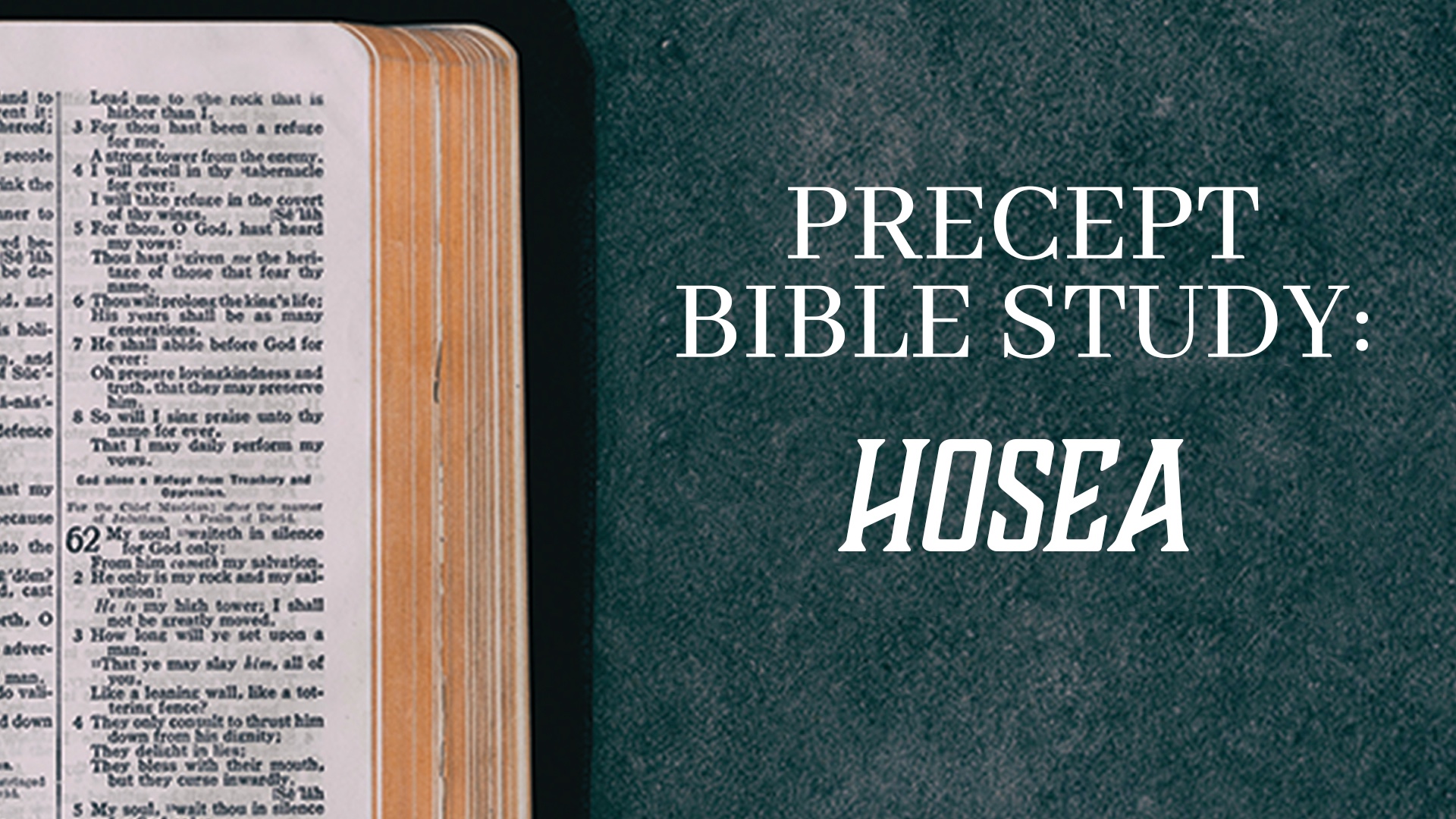 Hosea Precept Study