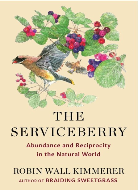 Serviceberry/Robin Wall Krimmerer