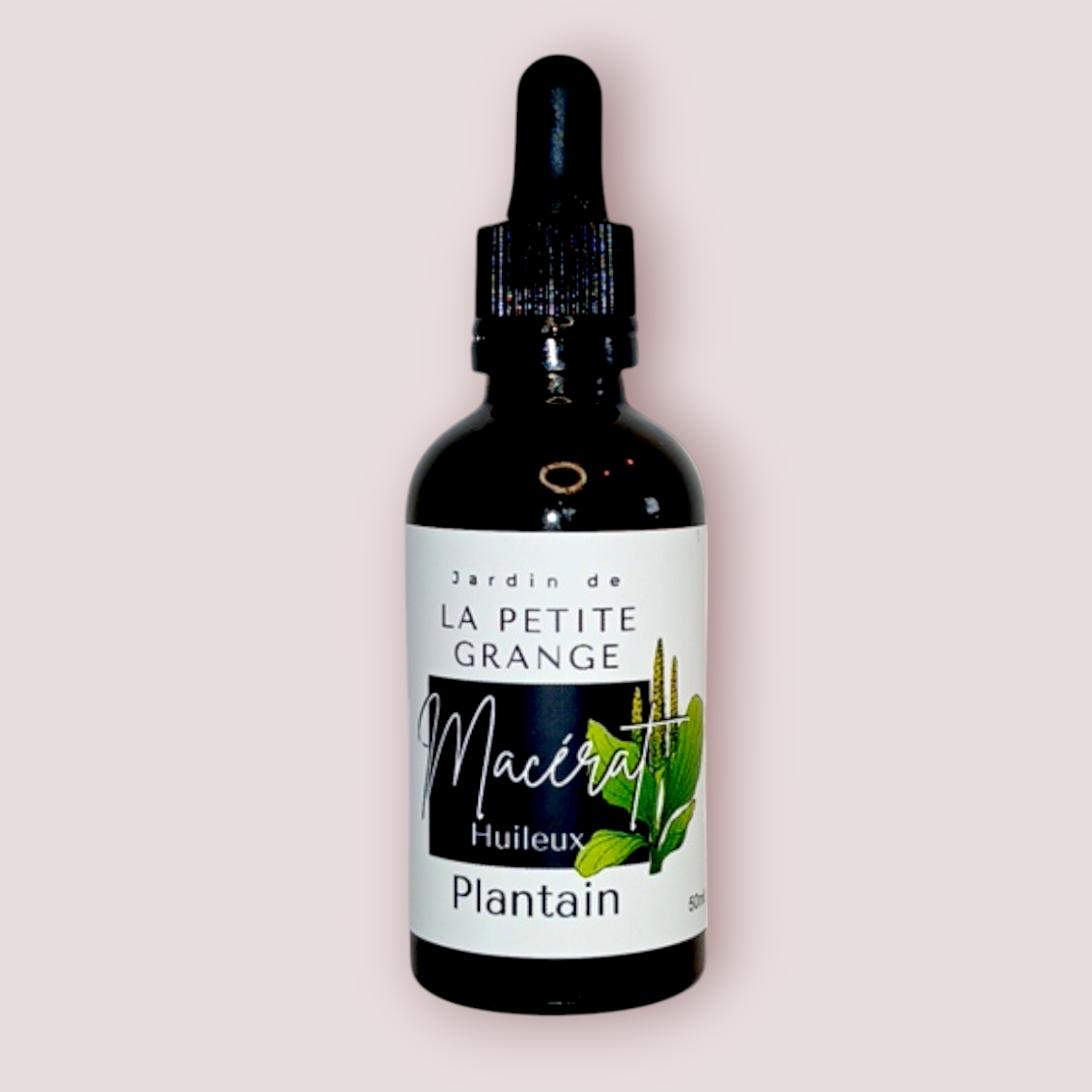 Macérat de Plantain