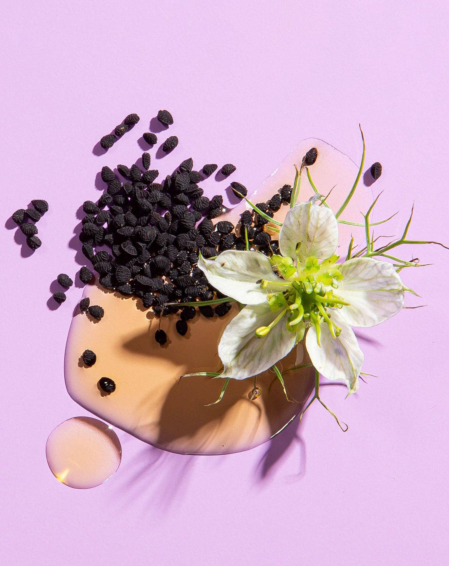 Black Seed Oil, Organic 8 oz/16 oz
