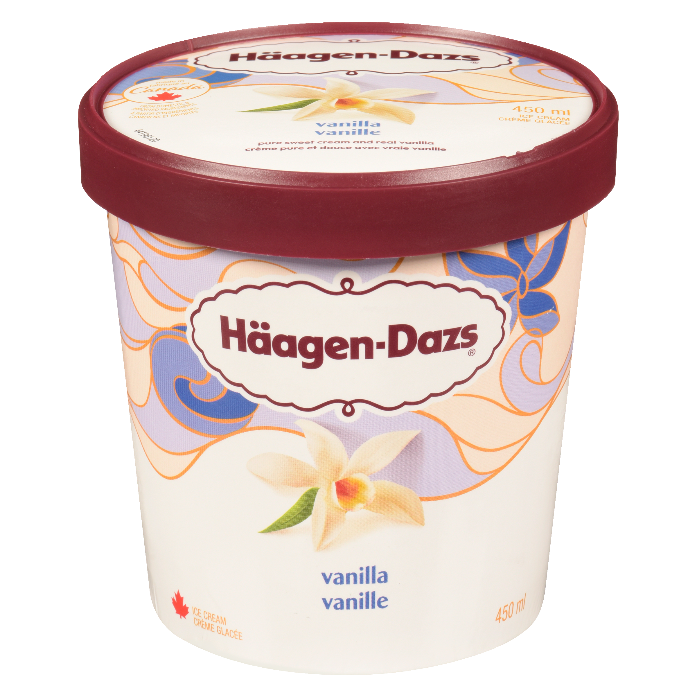 Haagen Dazs Vanilla Ice Cream 450ml