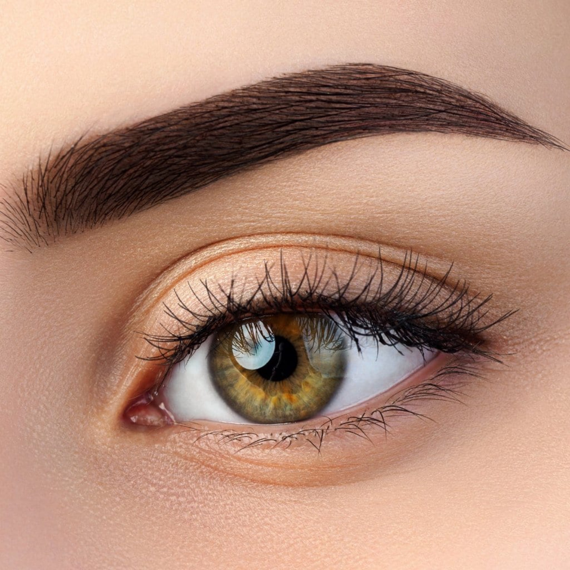 Tintado, Depilación y Diseño de Cejas en Gold Studio, Allentown, PA