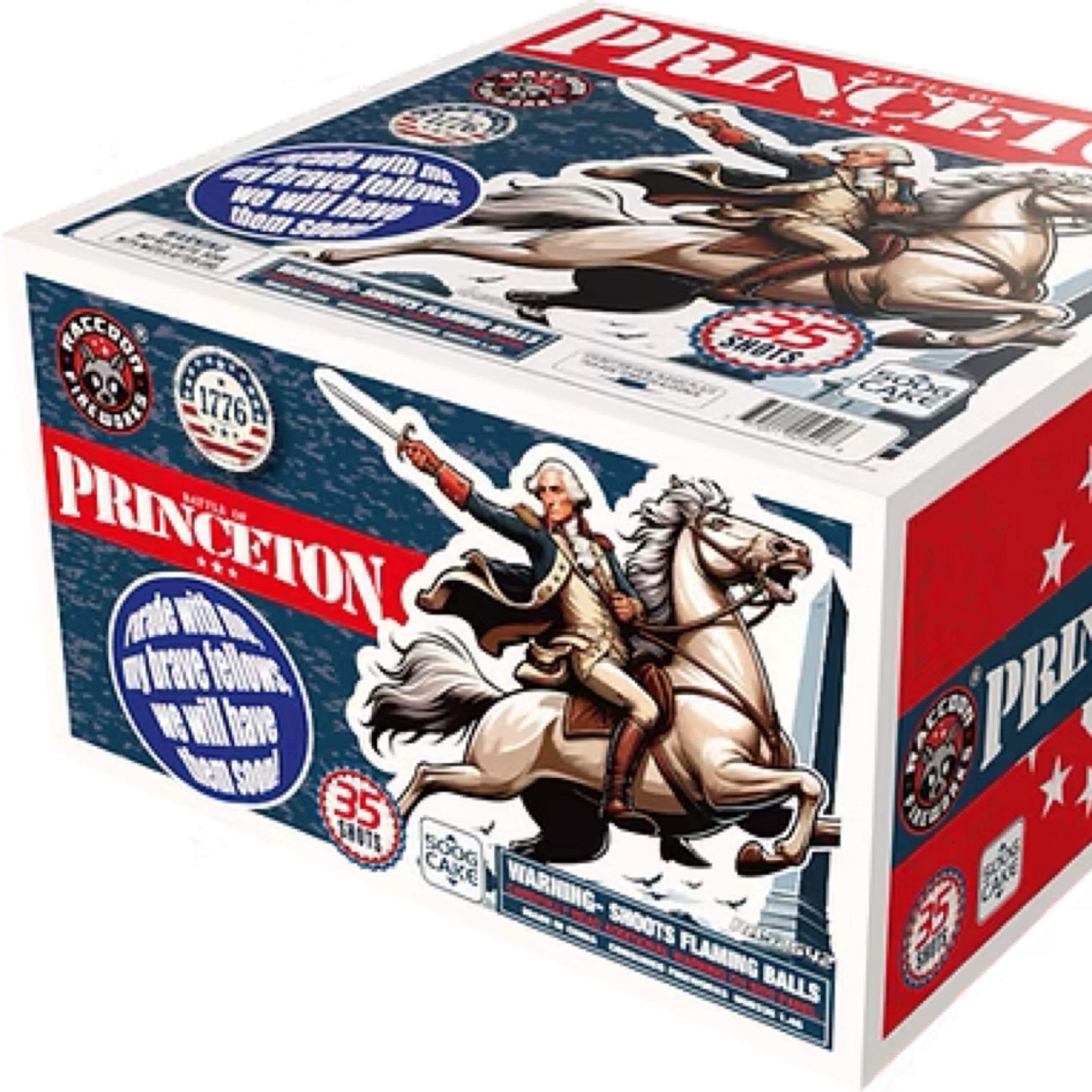 Battle of Princeton
