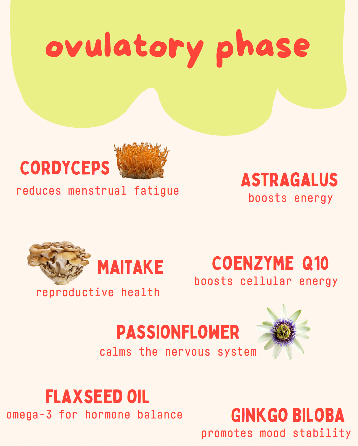 Ovulatory Phase Gummies 5 count