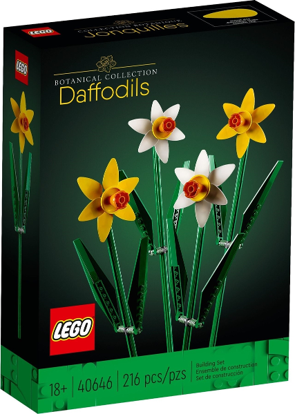 40646 Daffodils