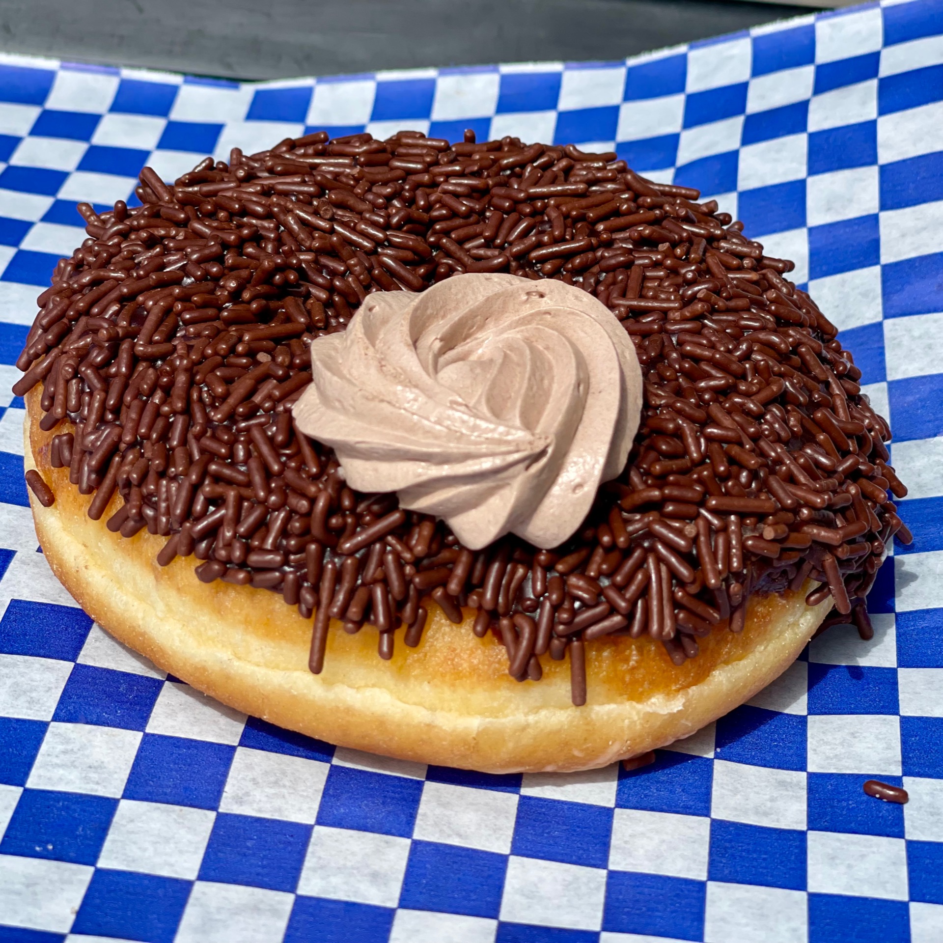 Chocolate Sprinkle Doughnut
