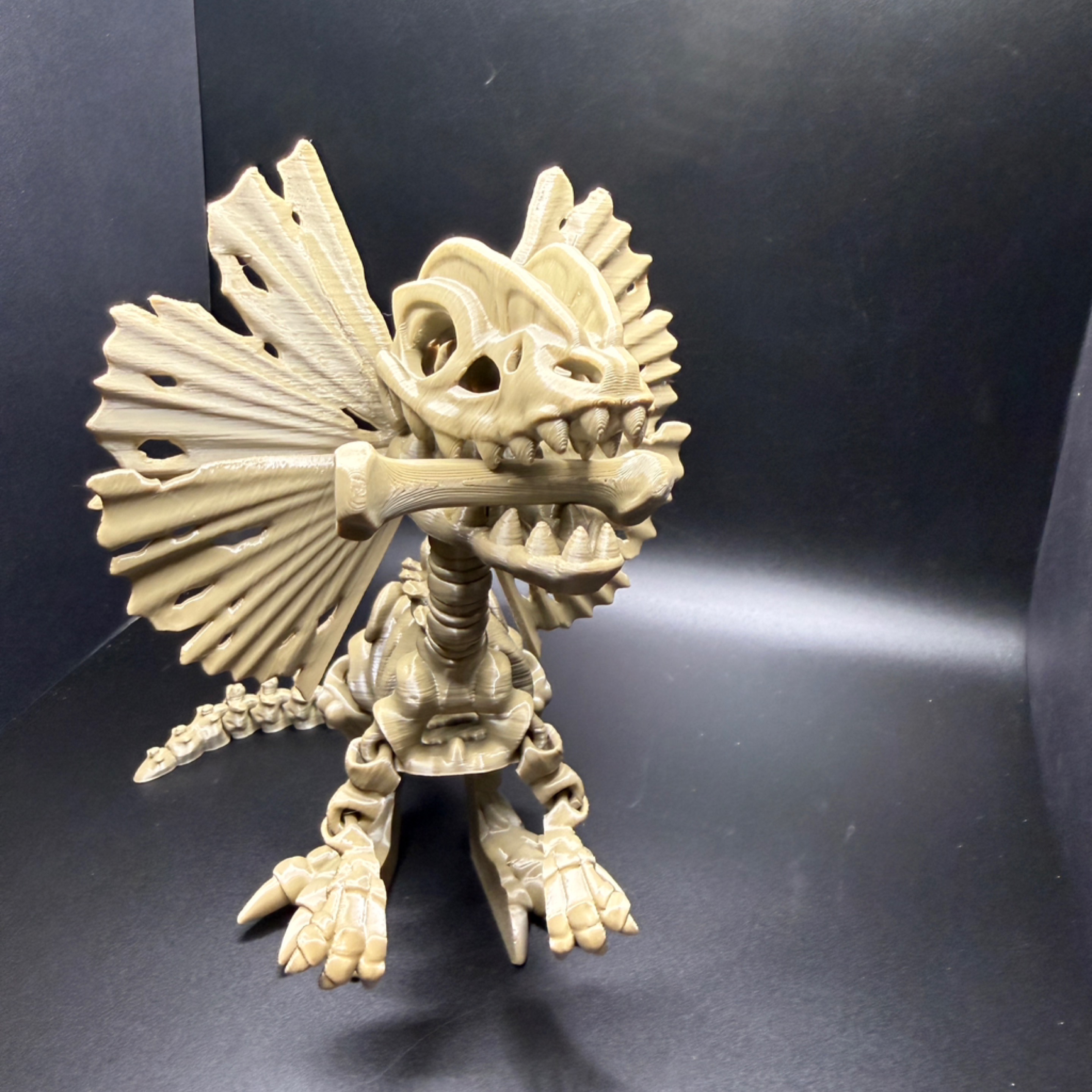 Skeleton Dilaphosaurus