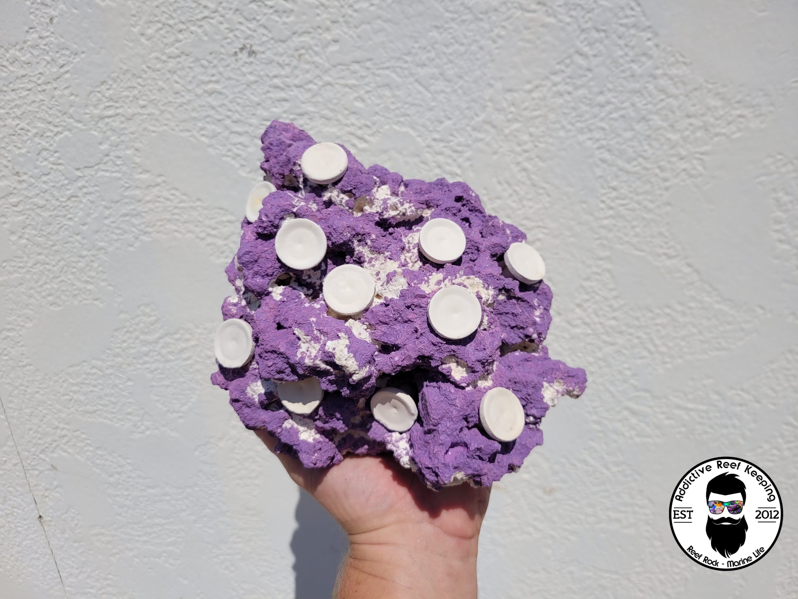 ARK Frag Rock Purple- 10 Frag Holes- 9″× 8″