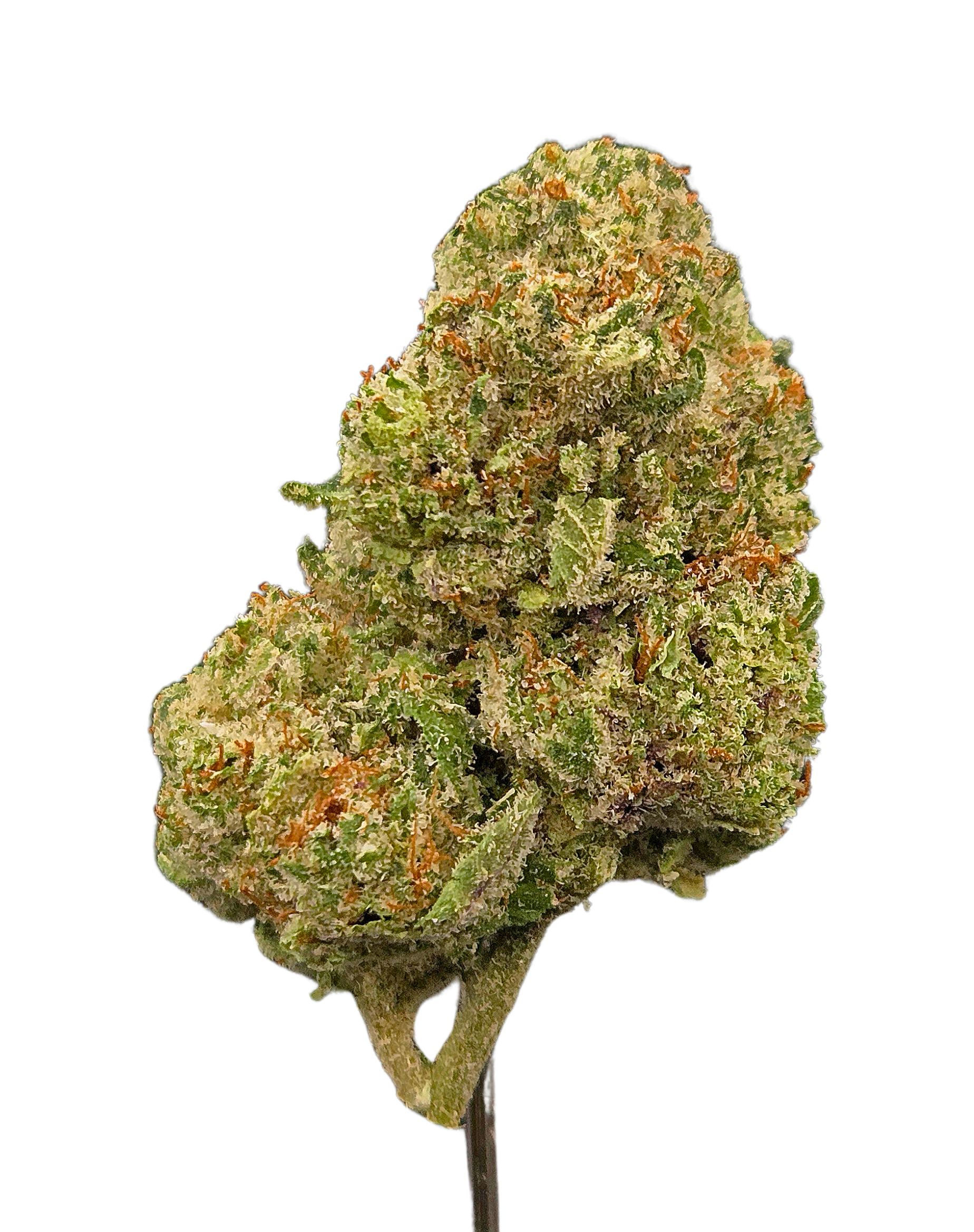 White Widow THCA - Hybrid (Sativa Dom.) - Bulk Flower